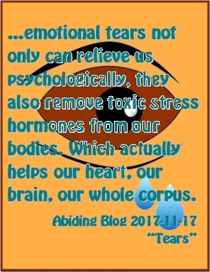 ...emotional tears not only can relieve us psychologically, they also remove toxic stress hormones from our bodies. Which actually helps our heart, our brain, our whole corpus. #Crying #TearsThatHeal #AbidingBlog2017Tears